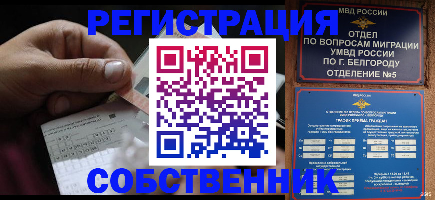 временная регистрация госуслуги в Сольцах